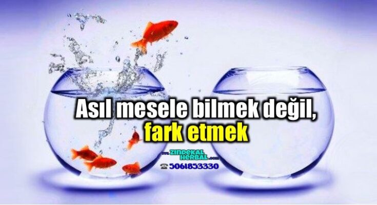 herbalife ürün setleri