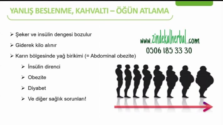 herbalife ürün setleri
