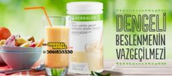 herbalife-formül-1-vanilya-fındık-cikolata-ahududu-beyaz-çikolata-shake-çay-aloe-sipariş-shake-