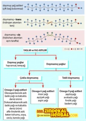sağlıklı-yağ-doymuş-doymamış-trans-yağ-